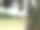 稻田里的各种绿色植物图片下载