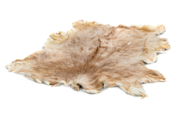 分离在白色上的山羊毛。图片下载