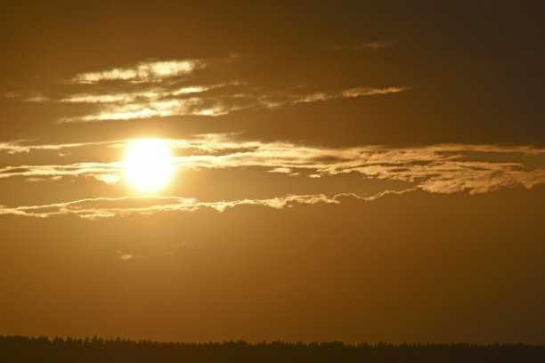 森林背景上的太阳盘和晚云图片下载