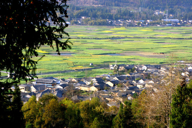 俯瞰腾冲的村庄和田野图片下载