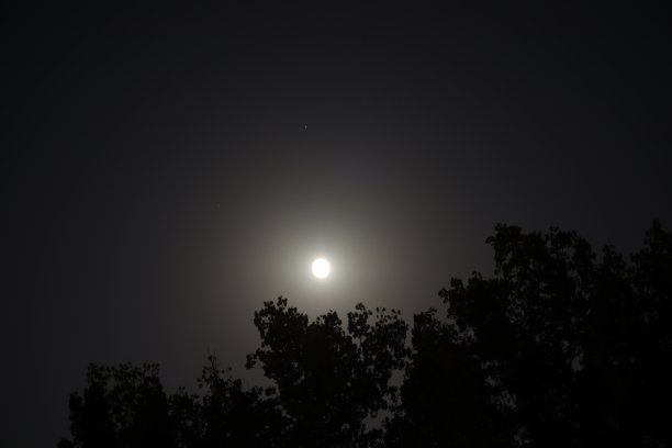 初升的月亮图片下载