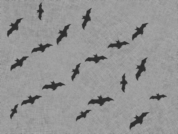 万圣节的比赛模式。万圣节的设计。灰色背景上蝙蝠的万圣节图案3d渲染图片下载