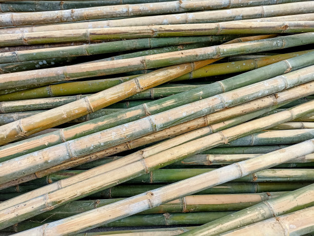 竹子自然抽象的图案或背景。图片下载