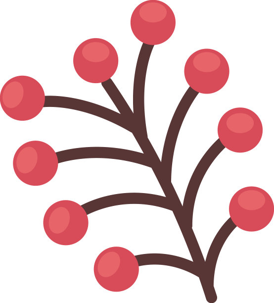 有红色种子的树枝图片下载