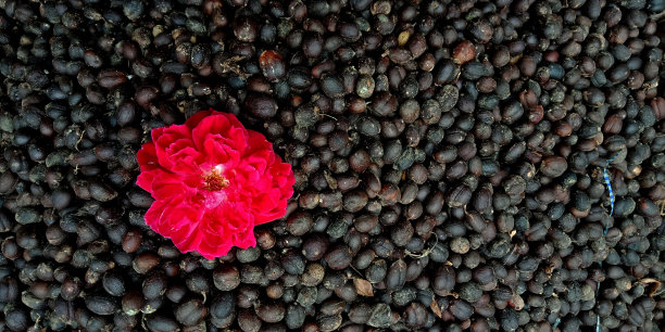 叔叔的咖啡图片下载