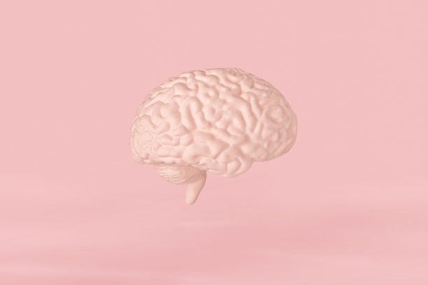 粉色背景下的人脑右半球模型。神经外科，卫生保健的概念图片下载