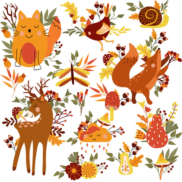 可爱的森林动物和狡猾的秋天元素图片下载