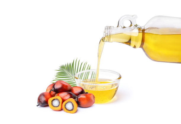 棕榈油和棕榈果就白了图片下载