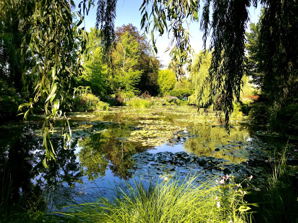 莫奈的花园，睡莲池塘图片下载