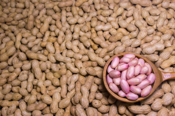 用大木勺盛花生仁。图片下载