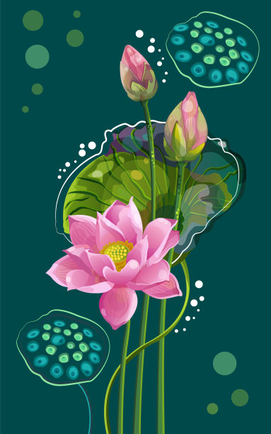 荷花在蓝色的背景上图片下载