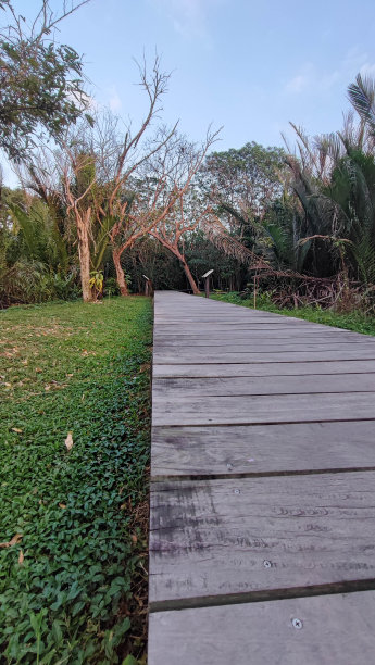 蓝色的天空，棕色的木走道和绿色的草。图片下载