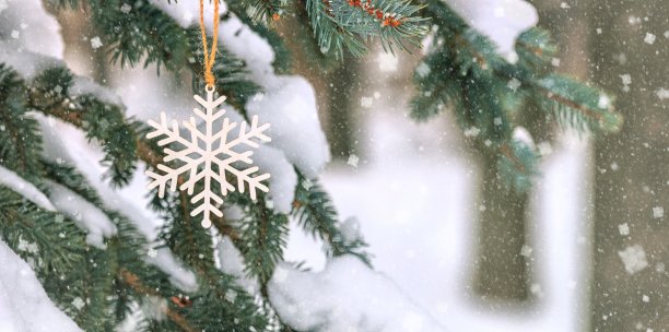 外面的圣诞树上有可爱的木质雪花装饰图片下载