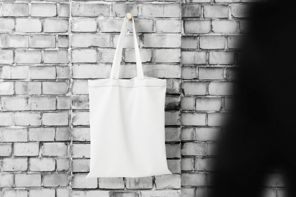 清洁最小袋帆布挂在砖墙模型图片下载