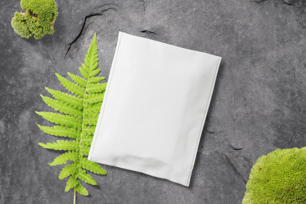 清洁最小包装模型上的黑色石头和苔藓图片下载