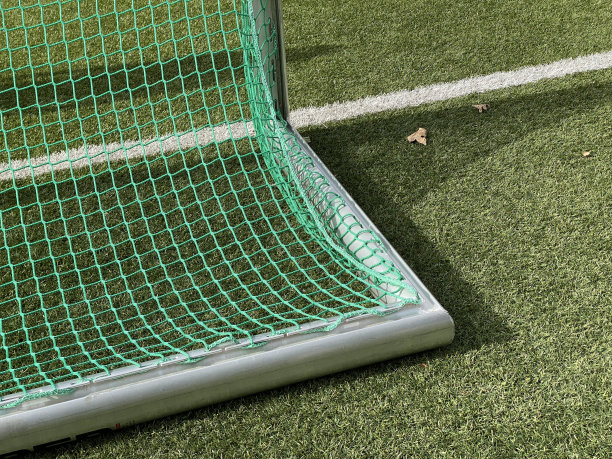 人造草皮上的儿童足球球门图片下载