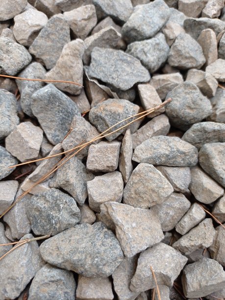 鹅卵石散落在森林保护营地周围图片下载