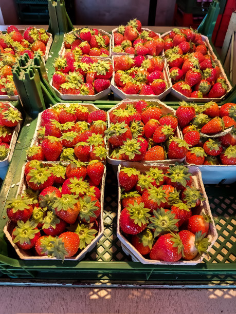 新鲜的草莓图片下载