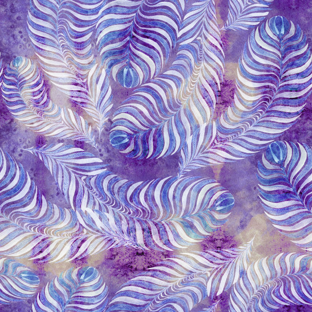 羽毛水彩背景。水彩画背景上的羽毛拼贴画。无缝模式。羽毛拼贴画。重复的羽毛图案。图片下载