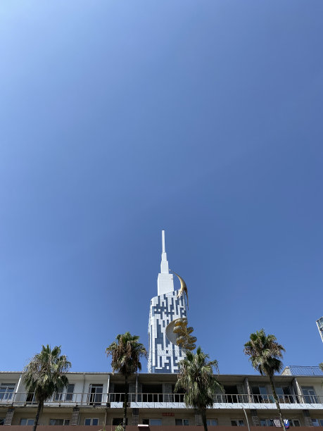 有棕榈树的摩天大楼图片下载