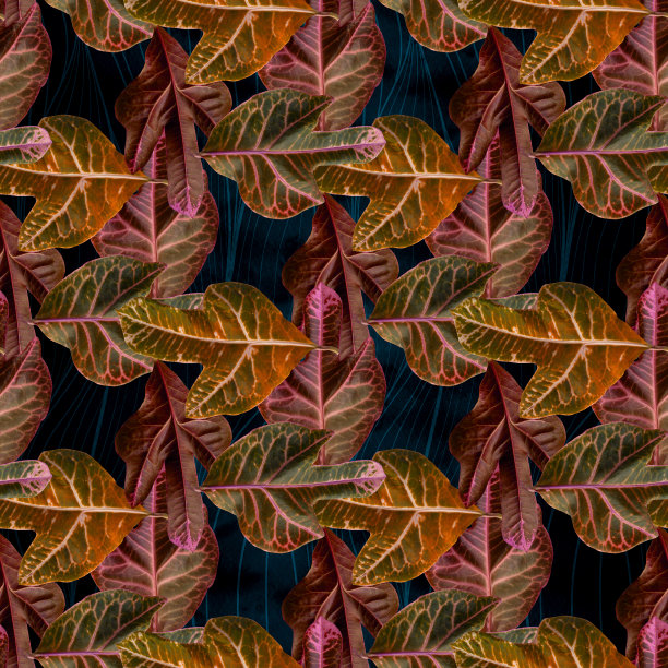 树叶上的水彩背景，装饰组成与植物元素。巴豆。无缝模式。Ecoprint。使用印刷产品，标牌，海报，明信片，包装。图片下载