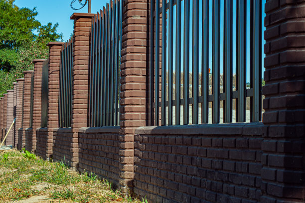 金属型材的纹理。金属栅栏。城市景观，美丽的西洋树背景上的现代栅栏金属型材。图片下载