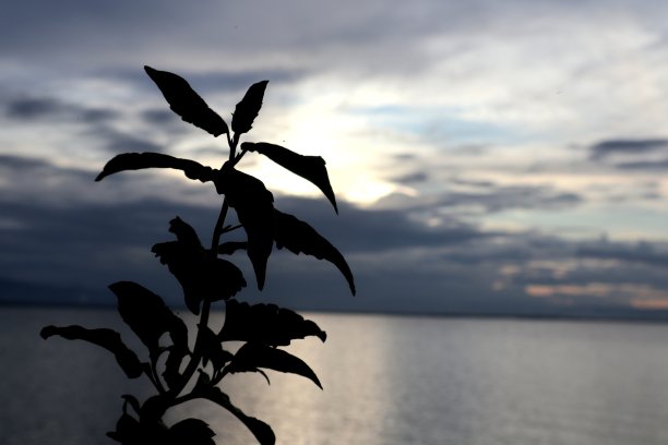 湖上夕阳下的剪影图片下载