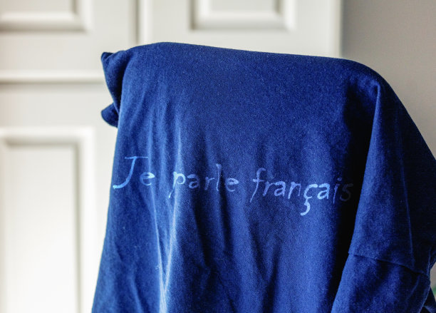 t恤背面用法语写着"我说法语图片下载