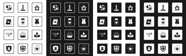 设狗舍药瓶和药丸为食图片下载