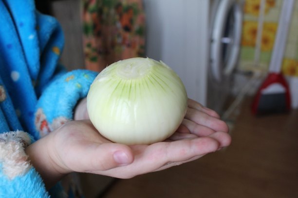 剥了皮的洋葱在孩子手中作为治疗图片下载