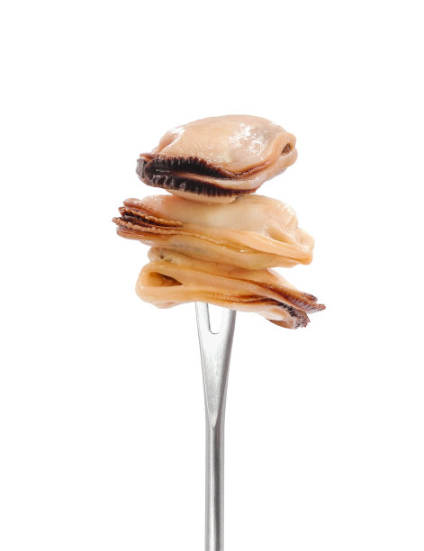 叉子上的贻贝孤立在白色上图片下载