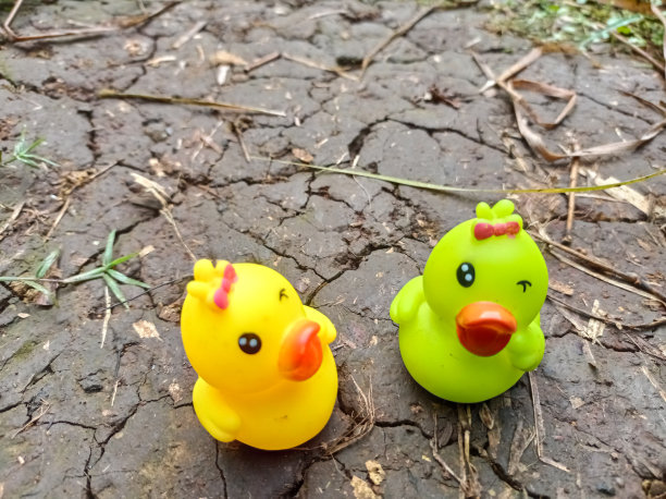 可爱的鸭子图片下载