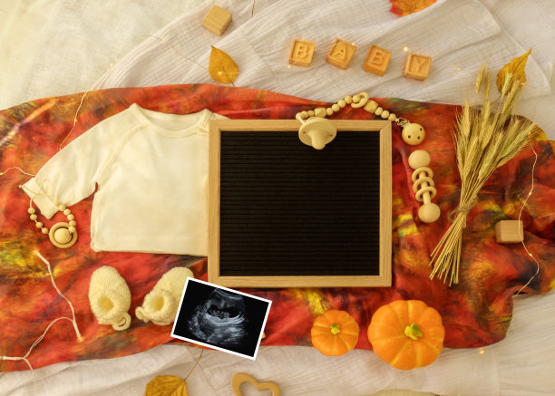婴儿紧身衣衬衫的模型。感恩节婴儿公告。秋季怀孕公告信婴儿公告。怀孕公告背景与模糊。有选择性的重点图片下载
