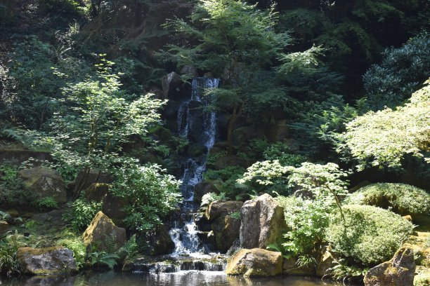 波特兰的日本花园图片下载