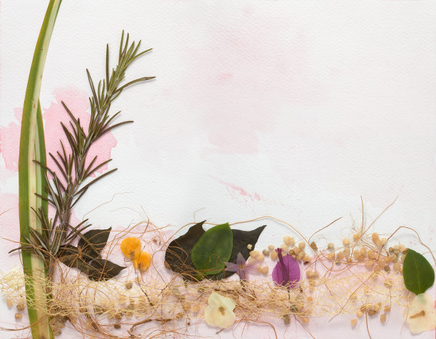 花卉贺卡模型与压花，花瓣，尖刺，树枝和石头排列在粉红色调水彩背景与复制空间贺卡，婚礼或活动邀请图片下载