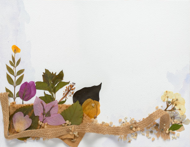 粉彩水彩背景纸与复制空间，装饰与干燥和压花和叶子，花瓣，石头和编织fique贺卡，婚礼或邀请图片下载