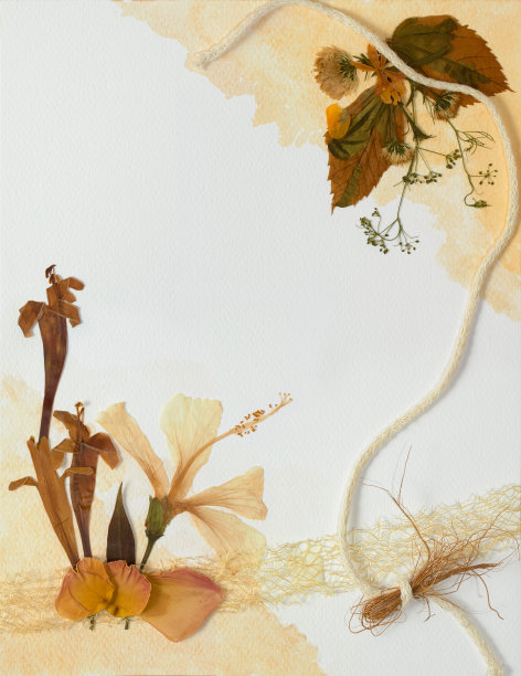 花卉贺卡模型与压花，花瓣，尖刺，石头和自然绳索在赭色水彩背景与复制空间贺卡，婚礼或活动邀请图片下载
