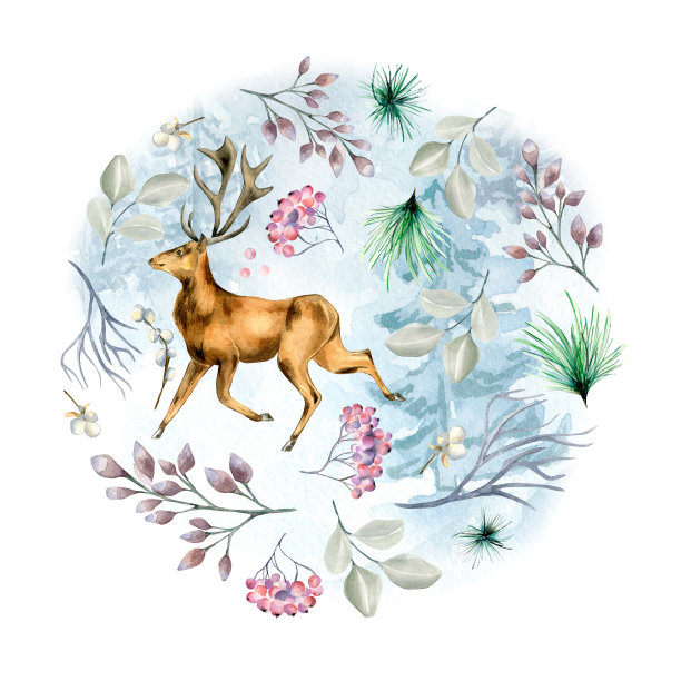 圆形框架的冬季植物和鹿水彩插图孤立的白色。图片下载