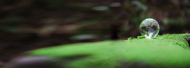 在绿色森林中的球形行星玻璃与散景自然灯。世界环境日。环保理念，保护生态地球和环境生态友好的生活旗帜和复制空间图片下载