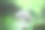 在绿色的森林与散景自然灯光。世界环境日。环保理念，保护生态地球，复制空间，环保生态生活图片下载