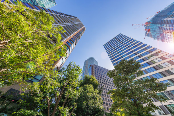 东京的城市景观与美丽的晨光图片下载