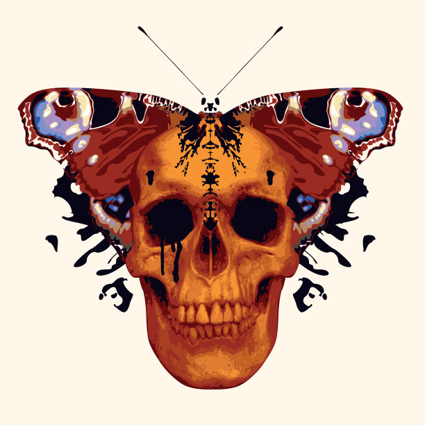 拼贴的人类头骨孔雀蝴蝶与图片下载