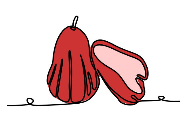 连续的一条线画一个水番石榴图片下载