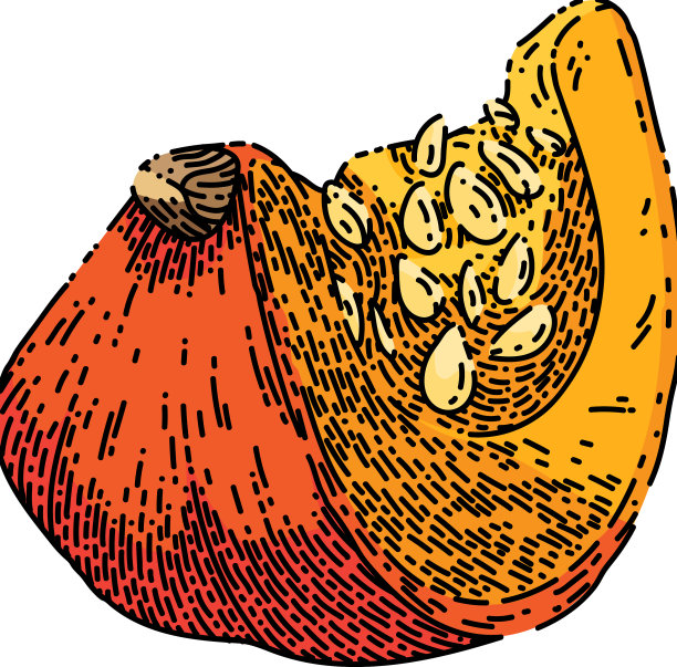 南瓜片草图手绘图片下载