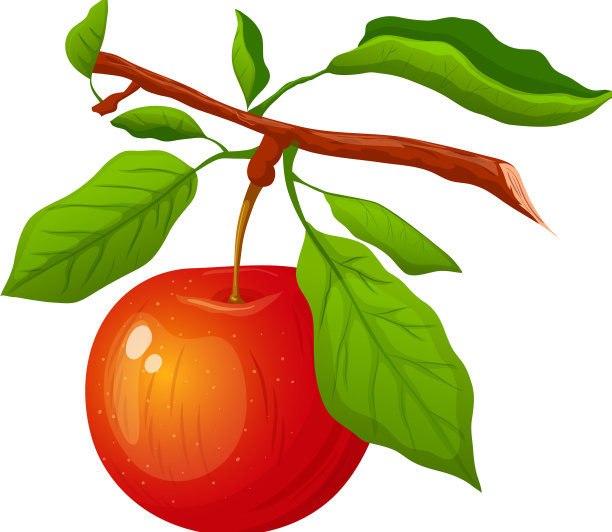 苹果树枝卡通图片下载