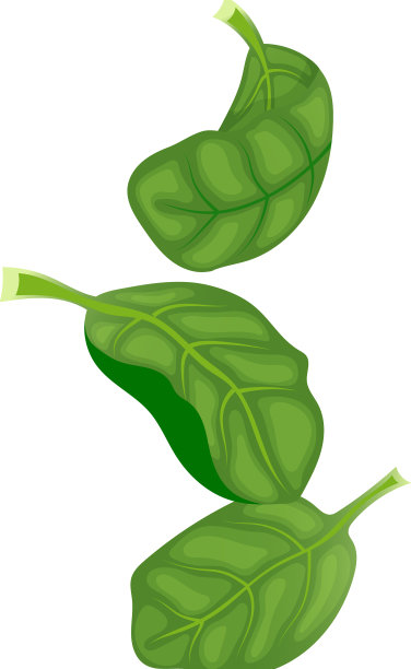 菠菜叶绿卡通图片下载