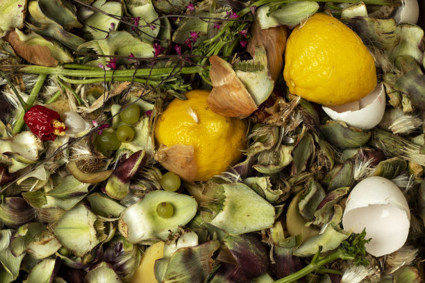 成堆的有机废物。图片下载