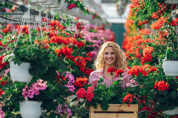 在温室花卉苗圃工作的妇女图片下载