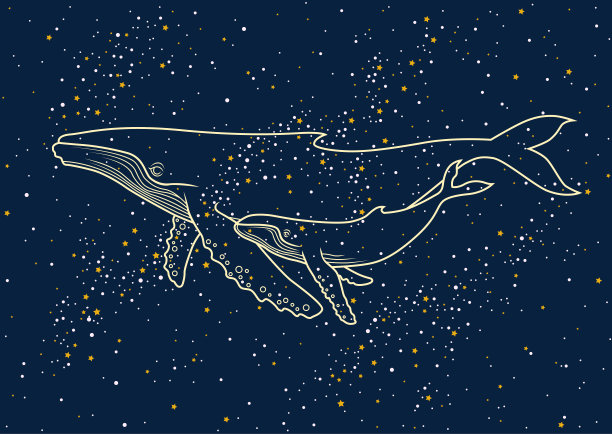 家族的鲸鱼图片下载