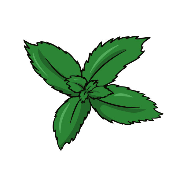 一组海洋生物可爱的绿色水母图片图片下载